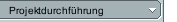 Projektdurchführung